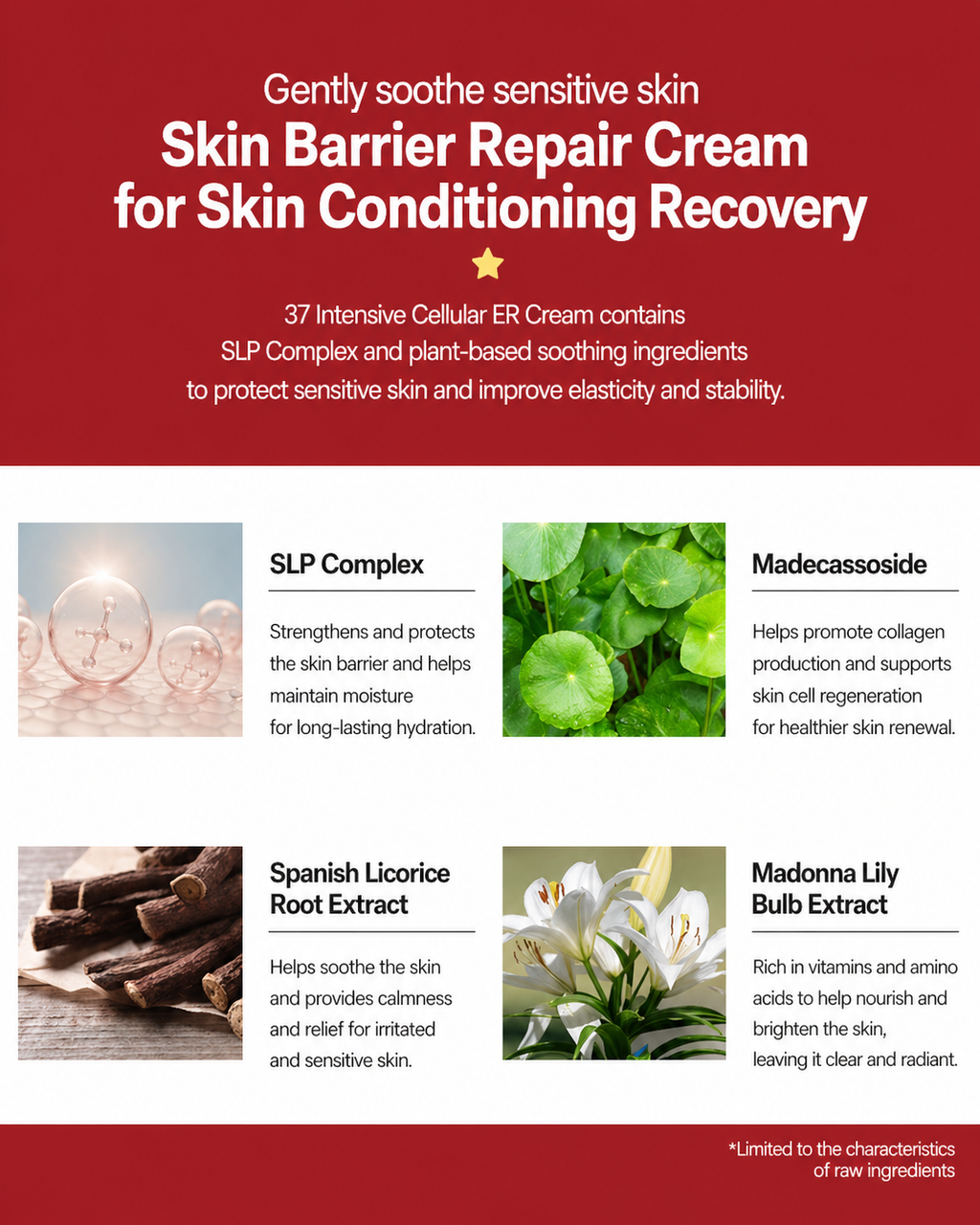 Erty RE:SET Revitalizing Ampoule & Cream Set