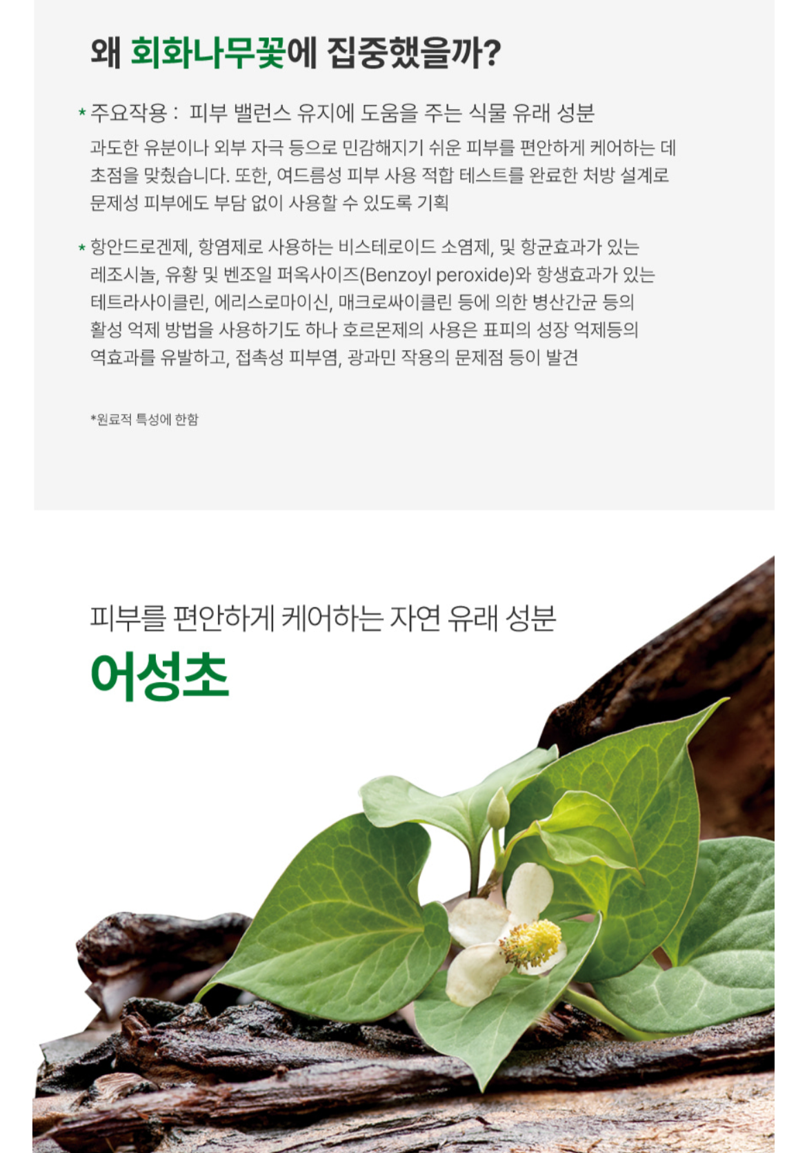 AC Control Ampoule | Acne Care, Sebum Balance & Soothing Treatment AC 컨트롤 앰플 | 여드름 피부 진정 & 피지 밸런스 케어