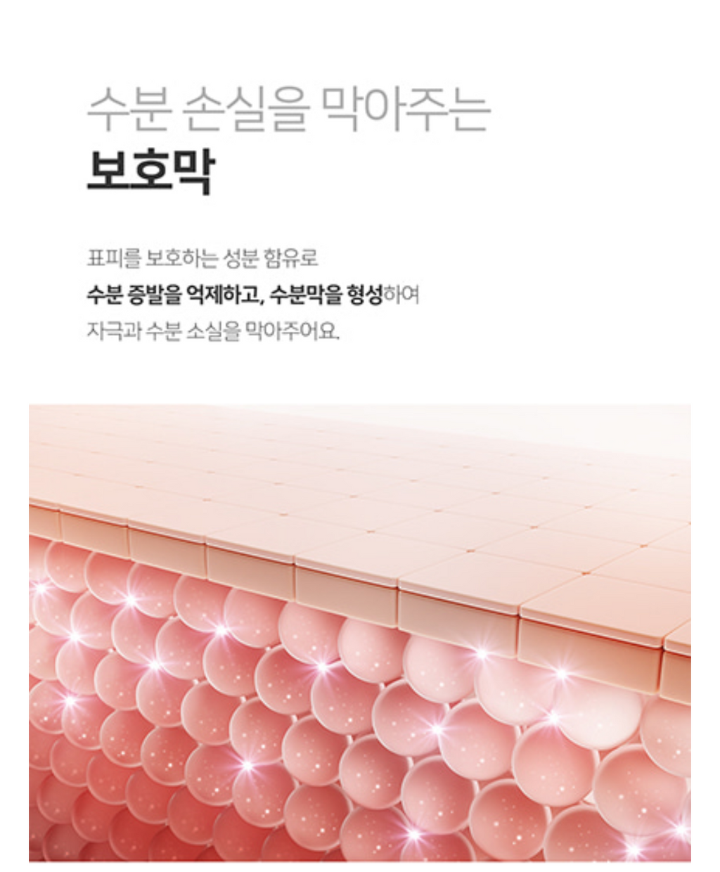 Padding Toner | Deep Hydration & Skin Barrier Strengthening Care
패딩 토너 | 깊은 보습 & 피부 장벽 강화 탄력 케어 500ml