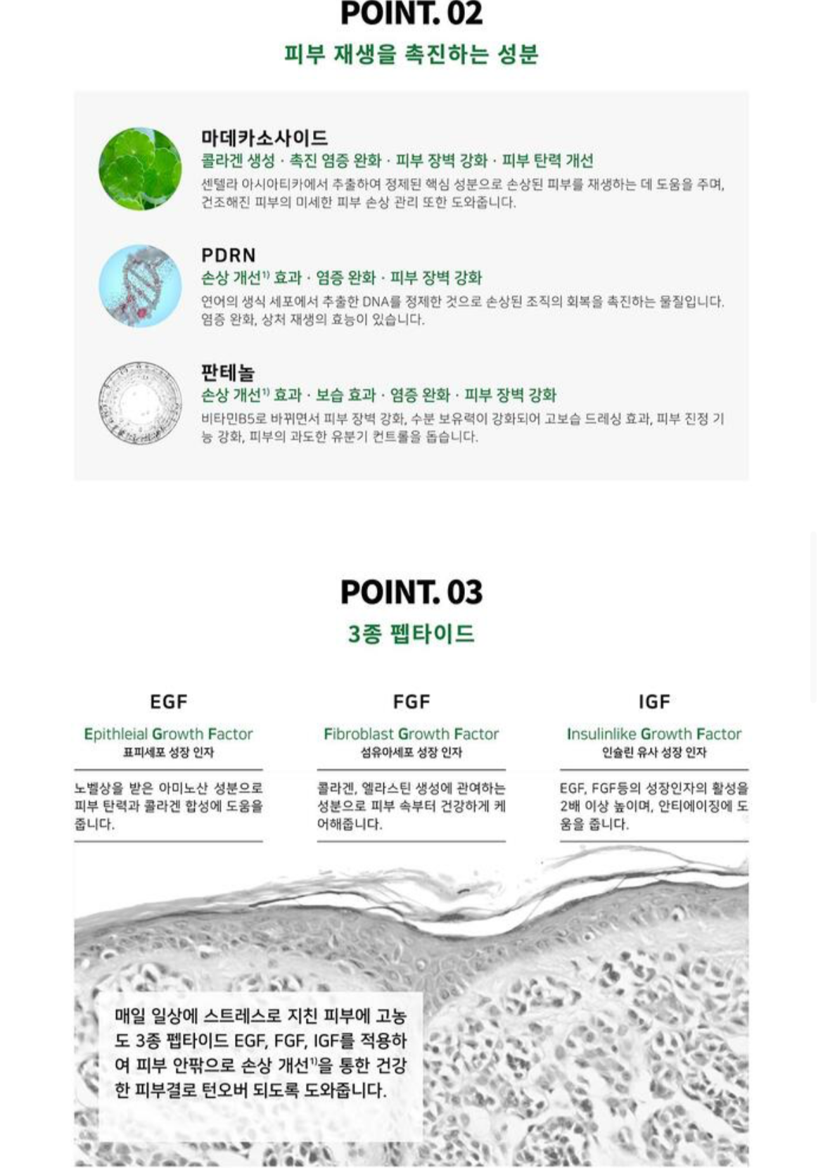 RERACINE CICA Repair Cream | Skin Renewal & Barrier Strengthening Premium Care
리라신 시카 리페어 크림 | 피부 재생 & 장벽 강화 프리미엄 케어