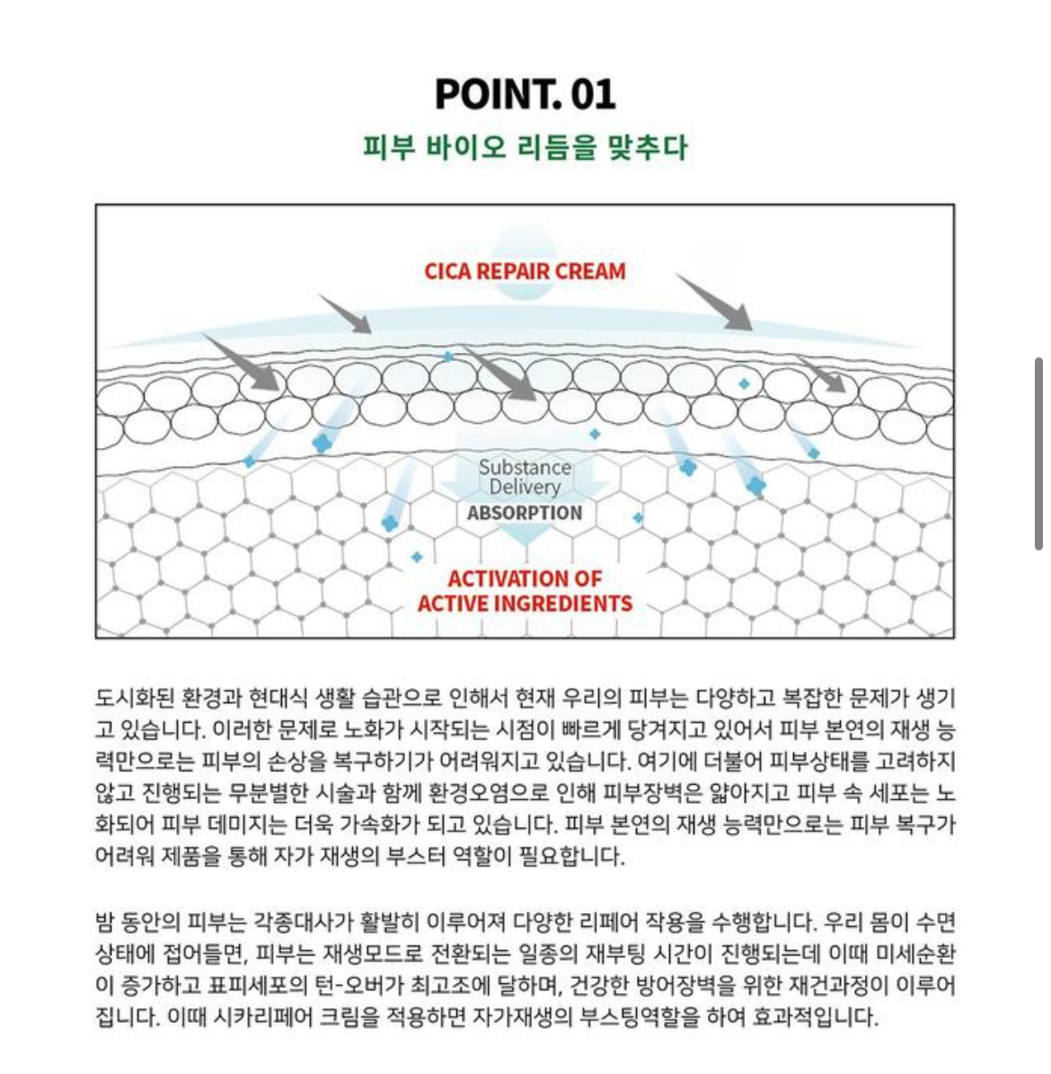 RERACINE CICA Repair Cream | Skin Renewal & Barrier Strengthening Premium Care
리라신 시카 리페어 크림 | 피부 재생 & 장벽 강화 프리미엄 케어